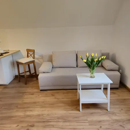 W Sercu Oliwy Apartment *