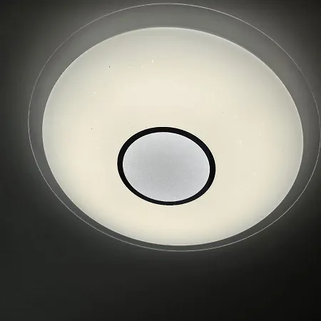 W Sercu Oliwy * Gdańsk