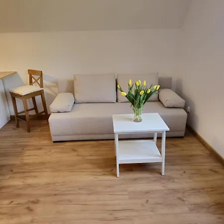 W Sercu Oliwy Gdańsk