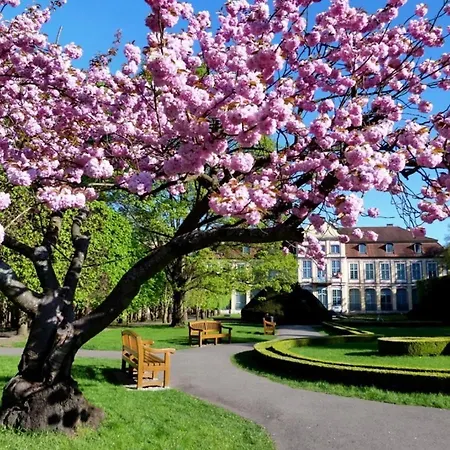 W Sercu Oliwy * Danzig