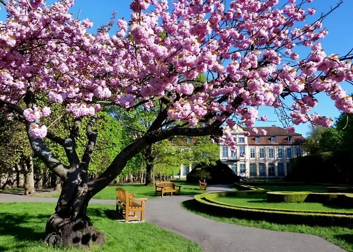 W Sercu Oliwy * Gdańsk